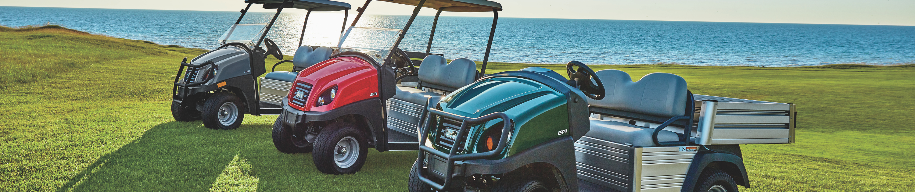 Carritos Utilitarios