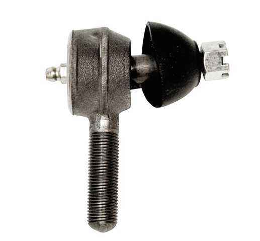 Rotula lado izquierdo